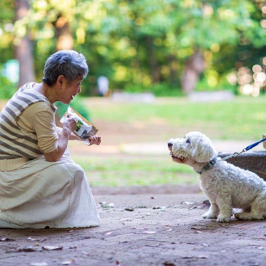 犬はしゃべれない