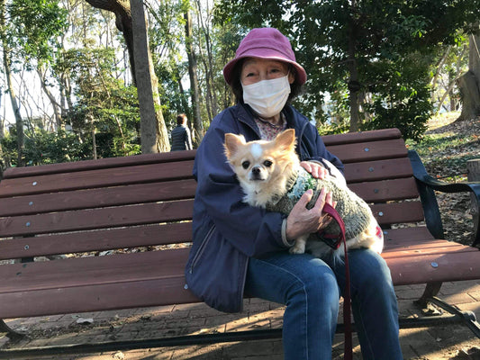 トイプードル、太ってもいいって。獣医さんのお墨付き。