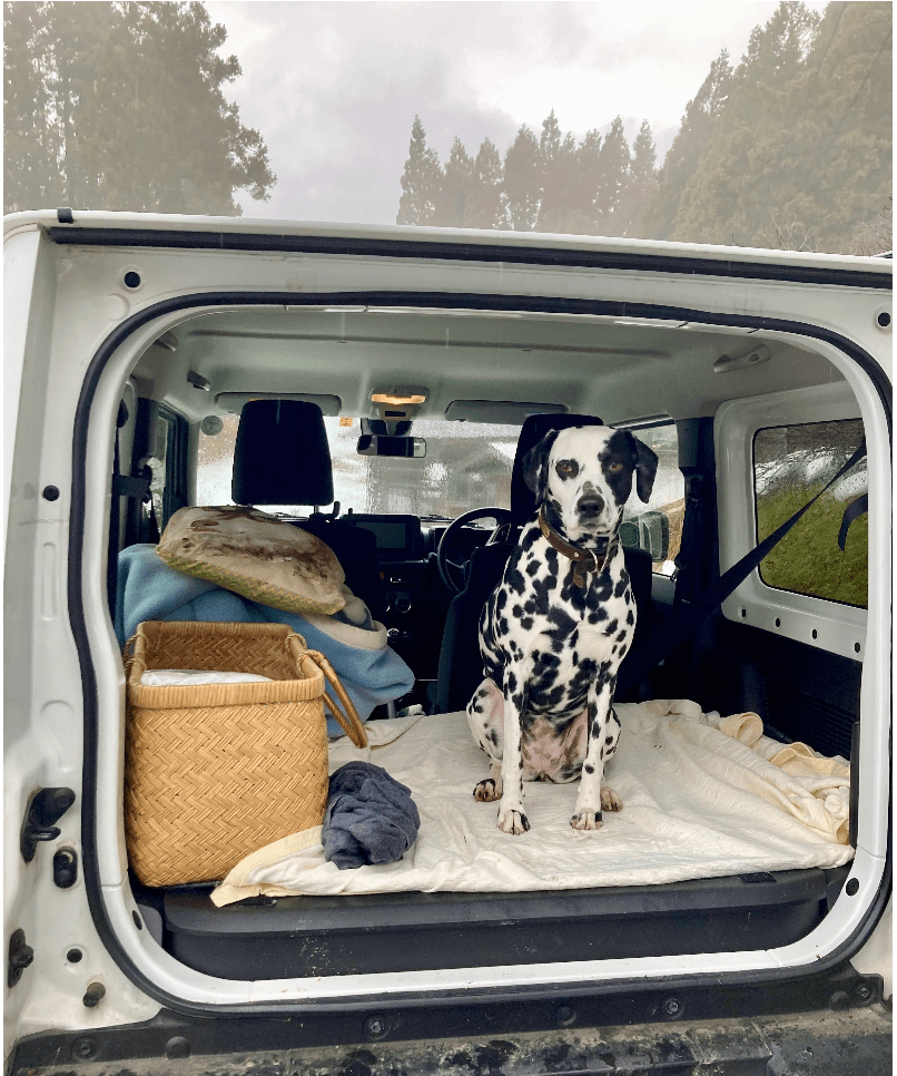 ルビーの腹時計