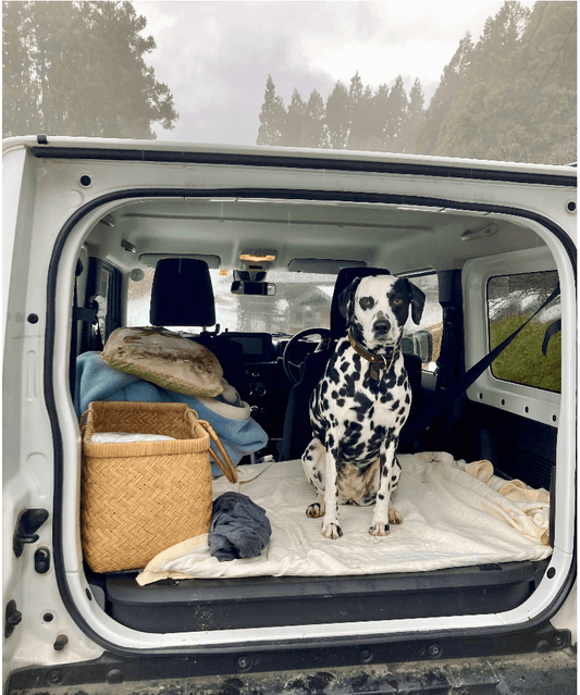 ルビーの腹時計