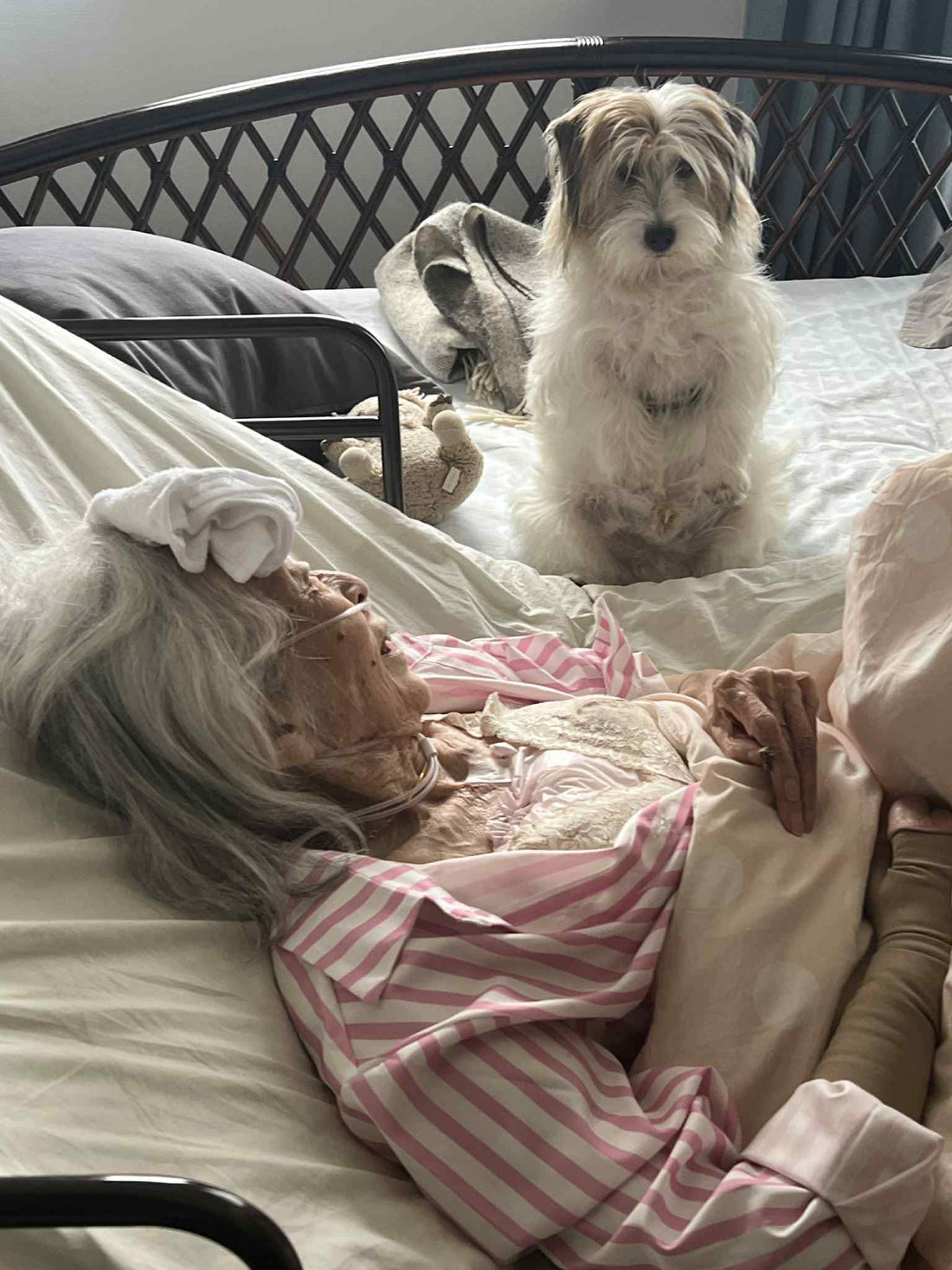 チャチャ日記18: 僕には２人の娘がいる。